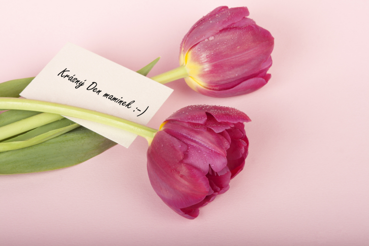 Pozvánka na vystoupení žáků ke Dni matek